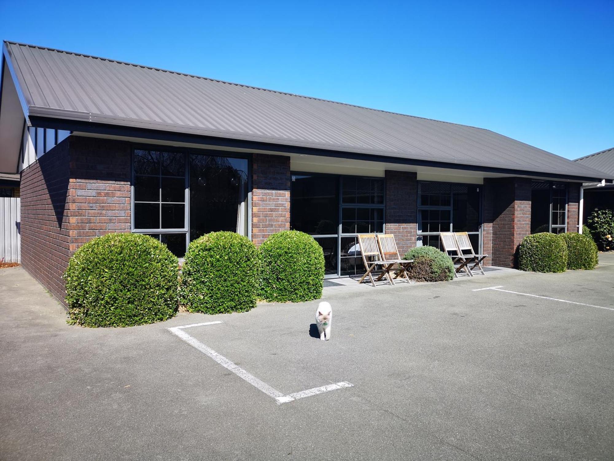 Aston Court Motel Blenheim Eksteriør bilde